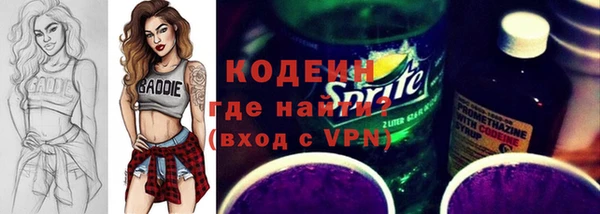 дурь Осташков