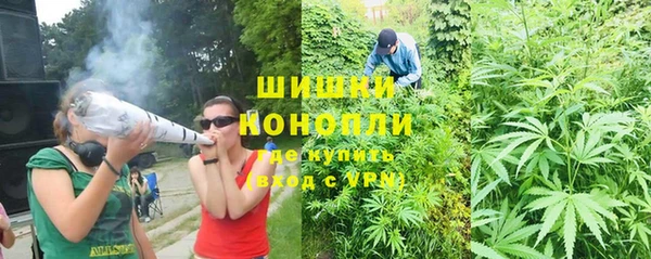 дурь Осташков
