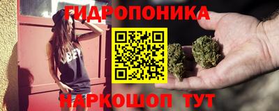 ECSTASY Аргун