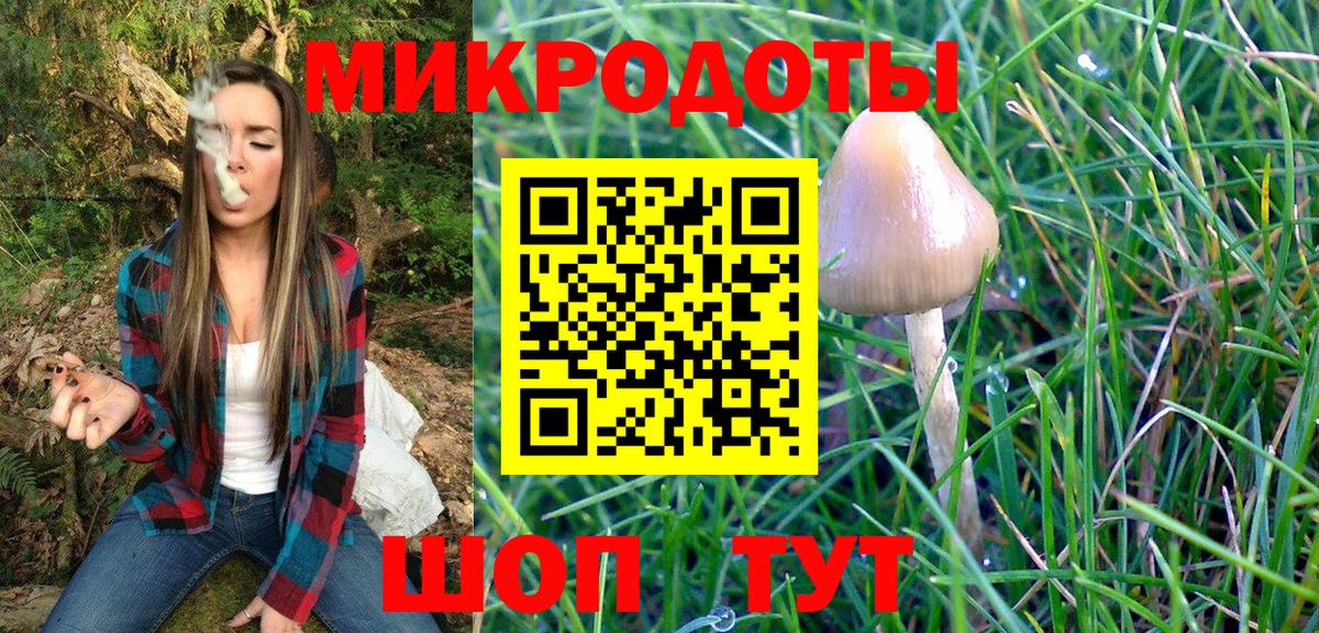 Балабаново  Галлюциногенные грибы Psilocybine cubensis  Вход с VPN 
