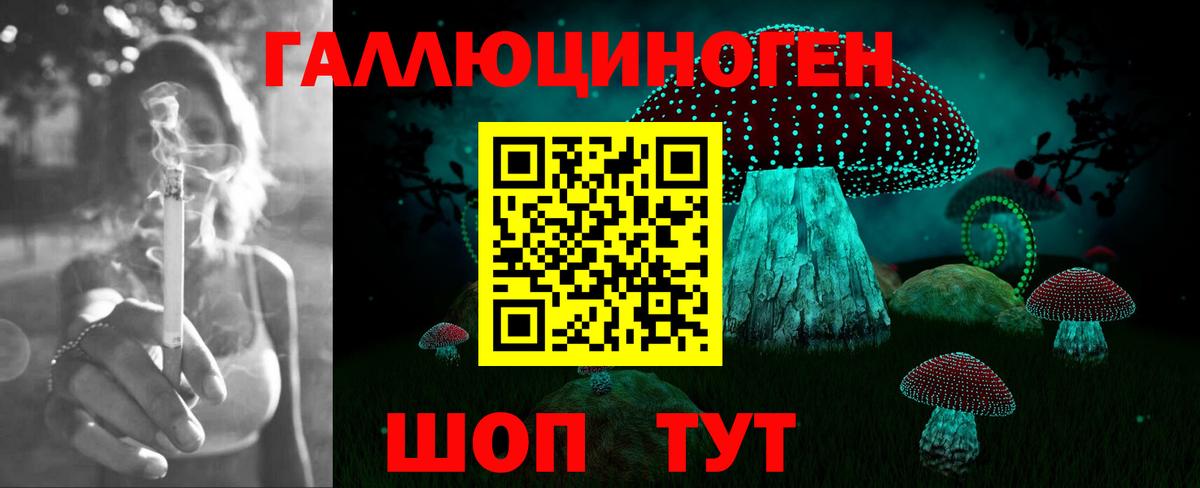 Псилоцибиновые грибы мухоморы  где найти   Балабаново 